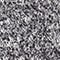 DARK GRAY / WHITE