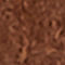 BRAUN