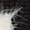 SCHWARZ / WEISS
