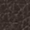 DARK BROWN / GOLD