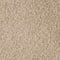 TAUPE / GOLD