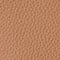 CAMEL / GOLD