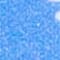 BLAU / DUNKELBLAU / WEISS