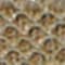 0WQ ARMY KHAKI