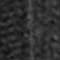 3000 BLACK