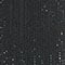 2517 BLACK