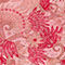 ROSA / ROT