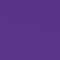 PURPLE / BLACK