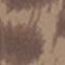 DESERT LEOPARD INK P
