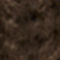 DARK BROWN / WHITE / BLACK