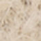 BEIGE / DONKERGRIJS
