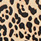 BEIGE / BLACK