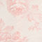 ROZE / WIT