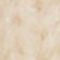 ECRU / ZILVER / BEIGE