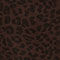 Chicory Coffee/W. BLACK LEO