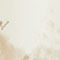 CREME / GRAU / SCHWARZ