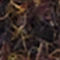 DARK BROWN / BLACK