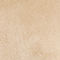 BEIGE / CRÈME