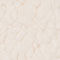 ECRU / BEIGE