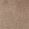 TAUPE / GOLD