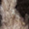 TAUPE / BEIGE / BLACK
