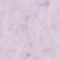 LIGHT PURPLE / PURPLE