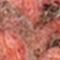 SALMON / DUSKY PINK / TAUPE
