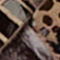 DARK BROWN / BEIGE
