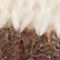 CREAM / BROWN
