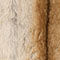 BEIGE / BRUIN