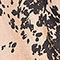 BEIGE / SCHWARZ