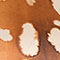 CAMEL / BROWN / ECRU