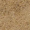 CAMEL / TAUPE / GREEN