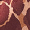 DARK BROWN / DARK RED / WHITE