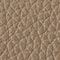 TAUPE / GOUD / BEIGE