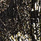 SCHWARZ / GOLD