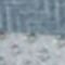 BLUE GRAY