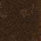 DARK BROWN / LIGHT BROWN