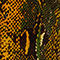 GROEN / COGNAC / MARRON FONCÉ