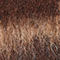 MARRON FONCÉ / BEIGE