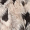 BEIGE / MARRON FONCÉ