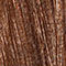 BROWN / GOLD