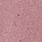 DUSKY PINK