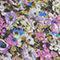 BLEU / LILAS / VERT
