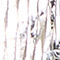 SILBER / GOLD