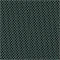 DARK GREEN / BLACK