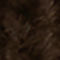DARK BROWN / RED / DARK BLUE