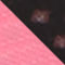 NEONROZE / NEONROZE / NEONROOD