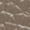 TAUPE / ARGENT