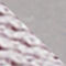GRAU / PINK